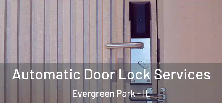 Automatic Door Lock Services Evergreen Park - IL