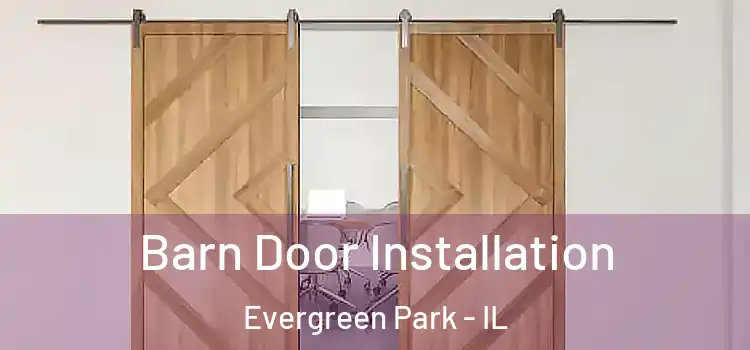 Barn Door Installation Evergreen Park - IL