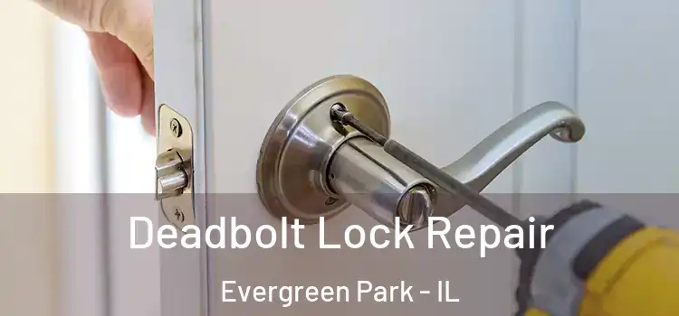 Deadbolt Lock Repair Evergreen Park - IL