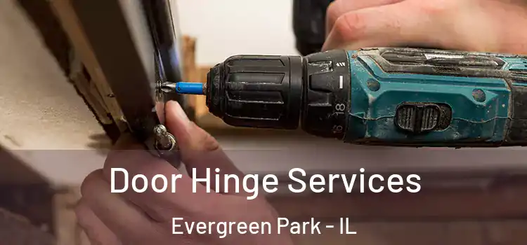 Door Hinge Services Evergreen Park - IL