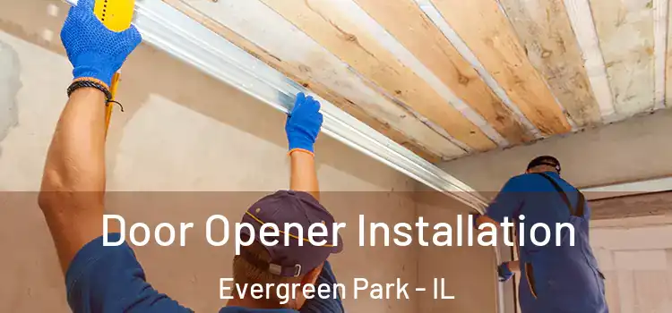 Door Opener Installation Evergreen Park - IL