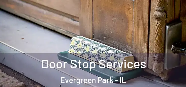 Door Stop Services Evergreen Park - IL