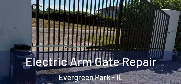 Electric Arm Gate Repair Evergreen Park - IL