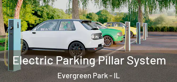 Electric Parking Pillar System Evergreen Park - IL