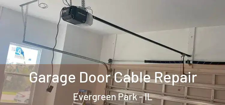  Garage Door Cable Repair Evergreen Park - IL