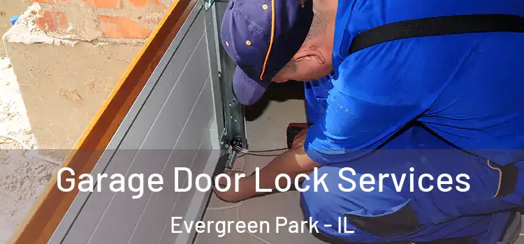 Garage Door Lock Services Evergreen Park - IL