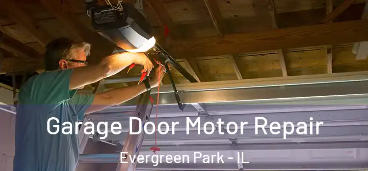  Garage Door Motor Repair Evergreen Park - IL