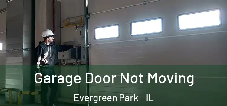  Garage Door Not Moving Evergreen Park - IL