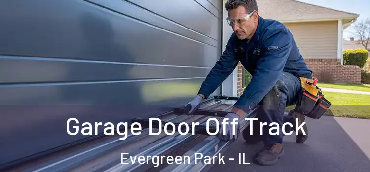  Garage Door Off Track Evergreen Park - IL