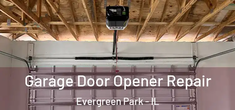  Garage Door Opener Repair Evergreen Park - IL