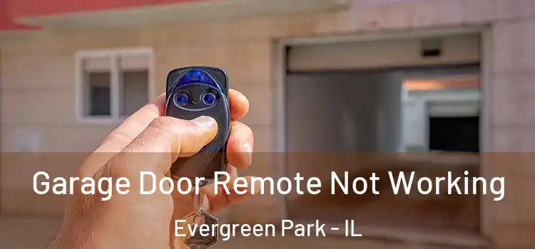 Garage Door Remote Not Working Evergreen Park - IL