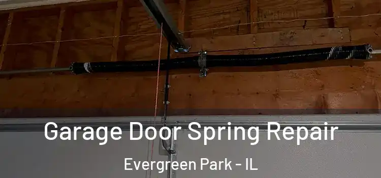 Garage Door Spring Repair Evergreen Park - IL