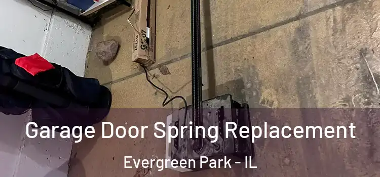  Garage Door Spring Replacement Evergreen Park - IL