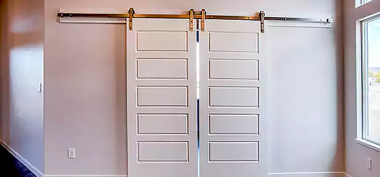 Glass Barn Door with Installation Hardware Kit Evergreen Park