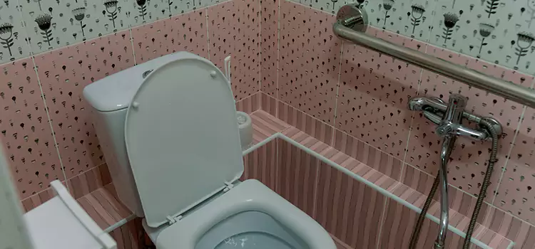 Meeting Diverse Needs With Accessible Restroom Solutions in Evergreen Park, IL