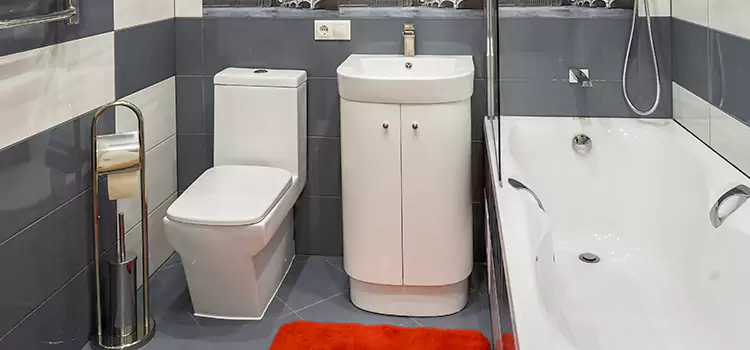 Hansgrohe Shaving Mirror Evergreen Park