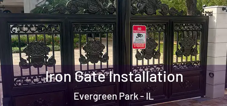 Iron Gate Installation Evergreen Park - IL