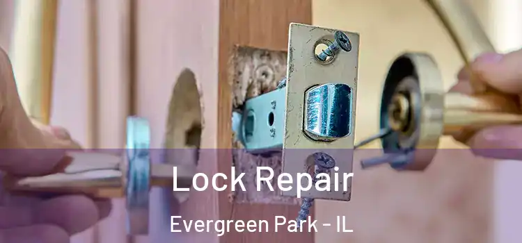 Lock Repair Evergreen Park - IL