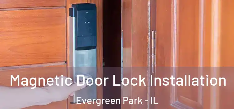  Magnetic Door Lock Installation Evergreen Park - IL