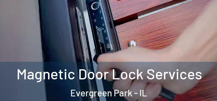 Magnetic Door Lock Services Evergreen Park - IL