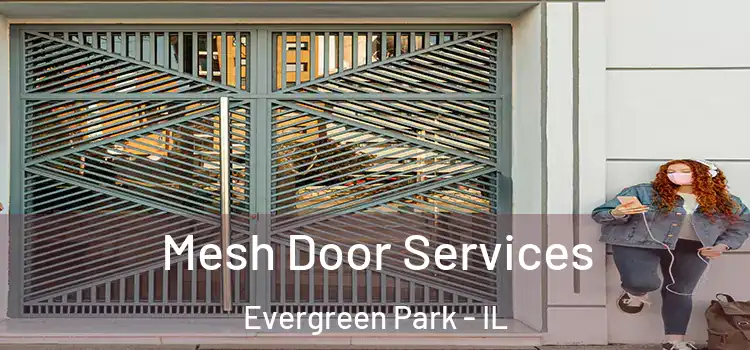Mesh Door Services Evergreen Park - IL