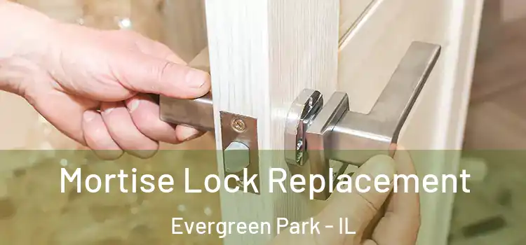 Mortise Lock Replacement Evergreen Park - IL
