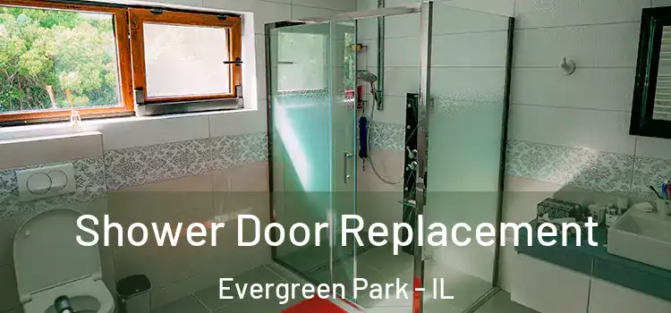 Shower Door Replacement Evergreen Park - IL