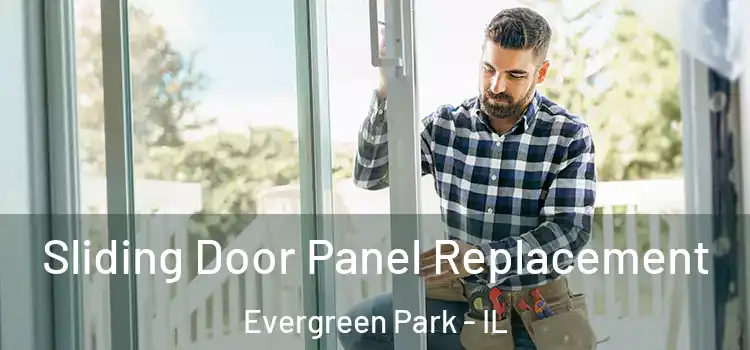  Sliding Door Panel Replacement Evergreen Park - IL