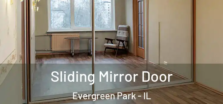  Sliding Mirror Door Evergreen Park - IL