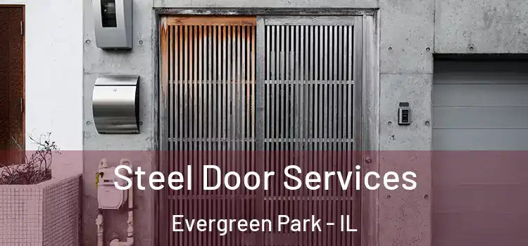 Steel Door Services Evergreen Park - IL